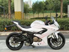QJMOTOR SRK 250 - photo 5