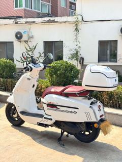 Weiduoliya Sixties 150Si - ფოტო 6