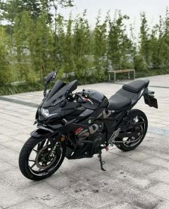 Haojue Suzuki GSX250R - ფოტო 3