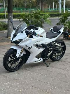 QJMOTOR SRK 250 - фото 1