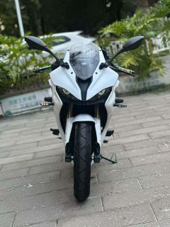 QJMOTOR SRK 250 - фото 2