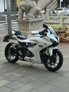 QJMOTOR SRK 250 - фото 3