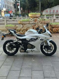 QJMOTOR SRK 250 - фото 4