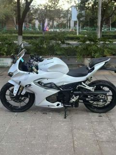 QJMOTOR SRK 250 - фото 6