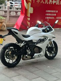 QJMOTOR SRK 250 - фото 7