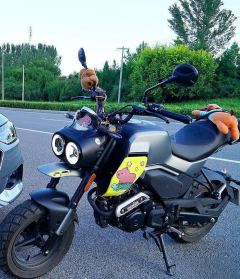 CFMOTO XO Papio 125 cc - ფოტო 1