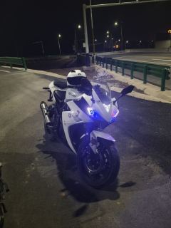 Xinshiji Falcon 2 200 cc - ფოტო 4