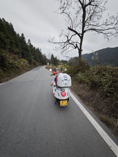 Wuyang Honda NWF125 - ფოტო 10