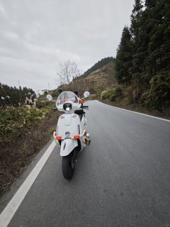 Wuyang Honda NWF125 - ფოტო 11