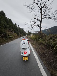 Wuyang Honda NWF125 - ფოტო 4