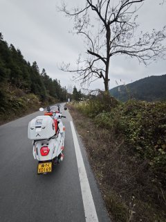 Wuyang Honda NWF125 - ფოტო 8