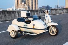 ROYAL ALLOY GP250 Sidecar - ფოტო 4
