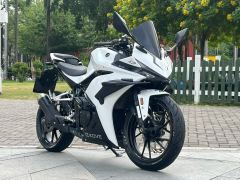 Kayo 250RR Thornbird - photo 1