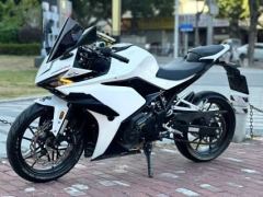 Kayo 250RR Thornbird - ფოტო 3