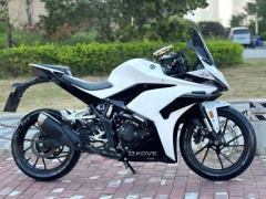 Kayo 250RR Thornbird - ფოტო 6