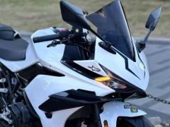 Kayo 250RR Thornbird - ფოტო 9