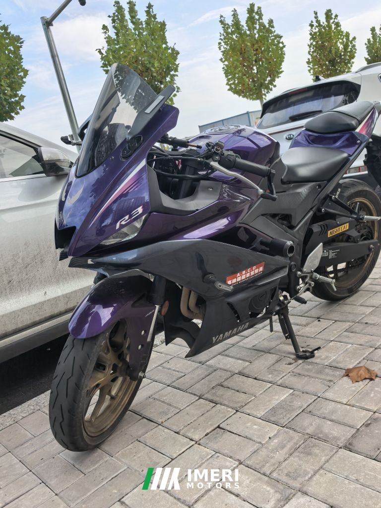 2024 Yamaha YZF-R3 320 cc