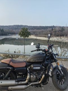 QJMOTOR 300 - ფოტო 4