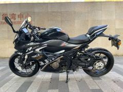 QJMOTOR SRK 250 - фото 2