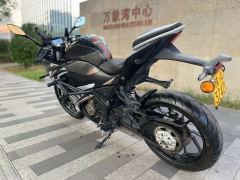 QJMOTOR SRK 250 - фото 3