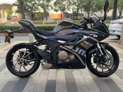 QJMOTOR SRK 250 - фото 5