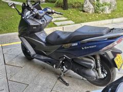 Dayang V-Ray 300T - photo 2