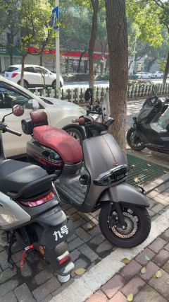 Weiduoliya Sixties 150Si - ფოტო 1