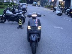 Moxiao British Marsha 150TCS - ფოტო 3