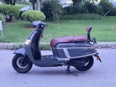 Moxiao British Marsha 150TCS - ფოტო 5