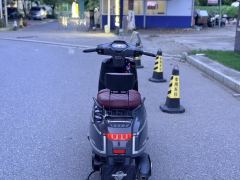 Moxiao British Marsha 150TCS - ფოტო 6