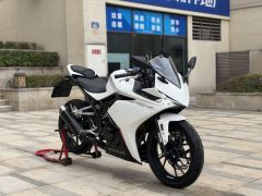 Kayo 250RR Thornbird - фото 3