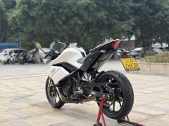 Kayo 250RR Thornbird - фото 6