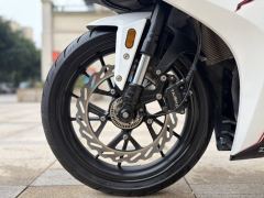 Kayo 250RR Thornbird - фото 9