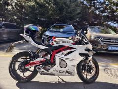 Kayo 450RR - фото 3