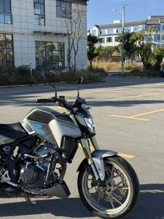 Kayo Cobra 321R 320 cc - фото 3