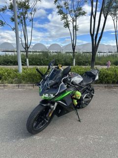 Voge 250RR - фото 3