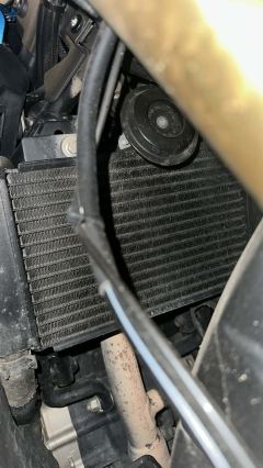CFMOTO 250SR - фото 7