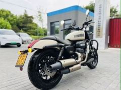 QJMOTOR Flash 300 - фото 3