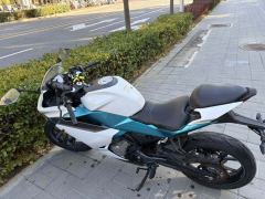 CFMOTO 250SR - фото 3