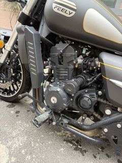 Feiling FL500B-2D - ფოტო 4