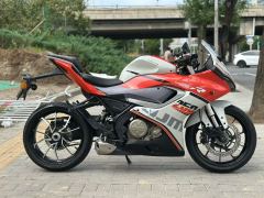 QJMOTOR SRK 250 - фото 2