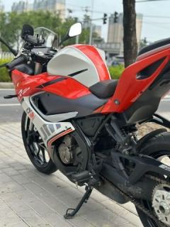 QJMOTOR SRK 250 - фото 5