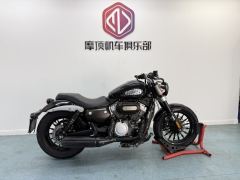 Benda Challenger 300 - photo 6