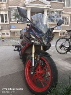 Kayo 321RR 320 cc - ფოტო 3