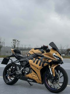 CFMOTO 250SR - ფოტო 2