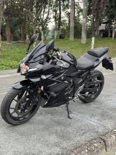 Haojue Suzuki GSX250R - фото 3
