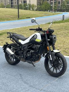 Benelli Young Lion Leoncino 250 - ფოტო 1