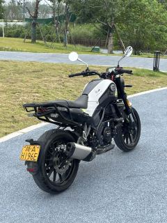 Benelli Young Lion Leoncino 250 - ფოტო 3