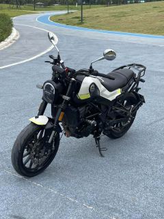 Benelli Young Lion Leoncino 250 - ფოტო 6