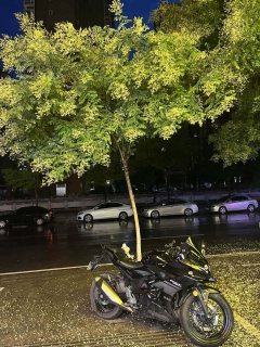 Haojue Suzuki GSX250R - фото 1